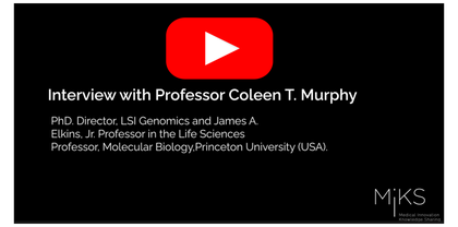 Foto MiKS Bites I Interview with Profesor Coleen T. Murphy - The future of biological therapies and cognitive aging